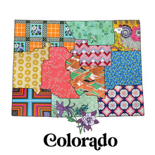 Load image into Gallery viewer, Colorado Youth T-Shirt | Patchwork State Art