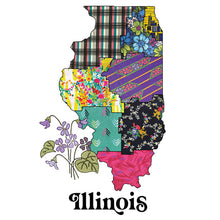 Load image into Gallery viewer, Illinois Stemless Wine Tumbler | Patchwork State Art